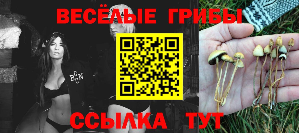 Кемерово  Псилоцибиновые грибы Psilocybe  Вход с VPN 