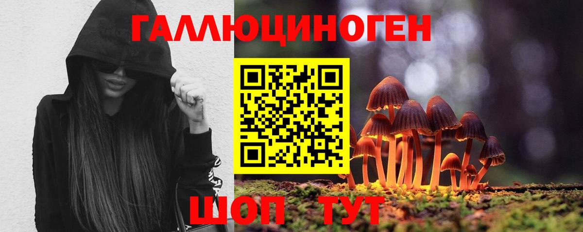 Галлюциногенные грибы Magic Shrooms Кемерово